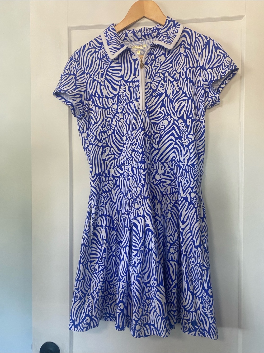 Lilly Pulitzer Blue and White Short-Sleeve Collared Fit-and-Flare Dress
